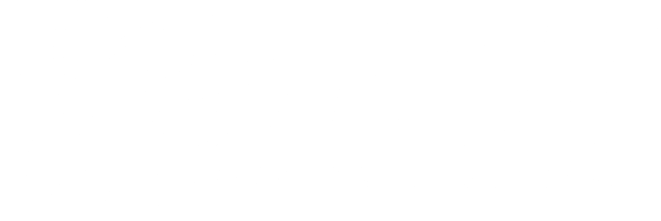 vidt@4x